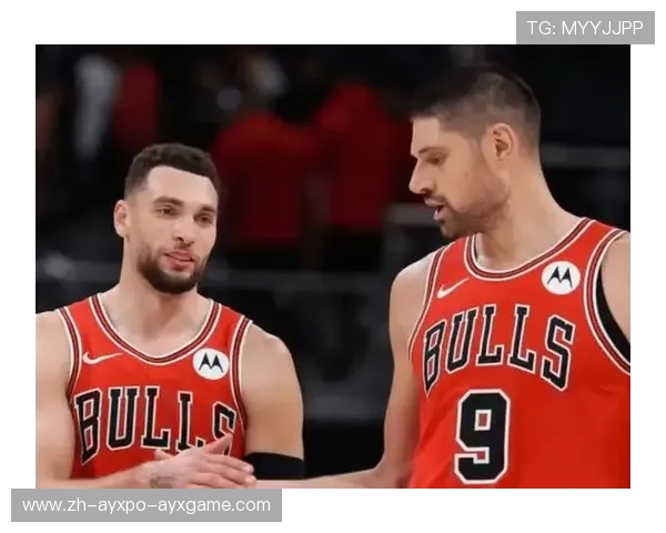 公牛队围绕拉文与武切维奇构建的新体系在2023赛季中崭露头角