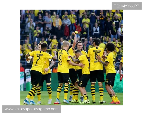 德甲比赛中的球队旗帜设计与历史