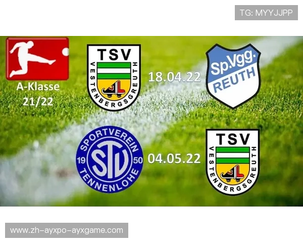 曾经属于德甲的俱乐部现状调查