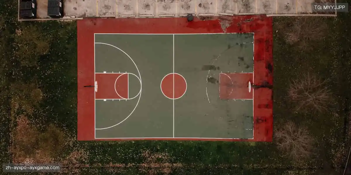 数据与激情同频，专业共欢乐一色！📊🎉 用科技解锁体育新视角！